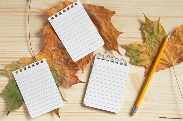 Caderno com um lápis — Fotografia de Stock