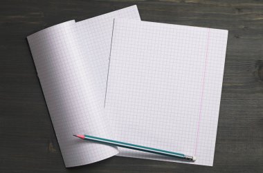 Öğrenci yarıyıl not defteri sayfalarından