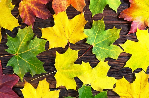 Maple leaves background — Stock Photo, Image