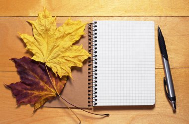 bir kalem ile not etmek