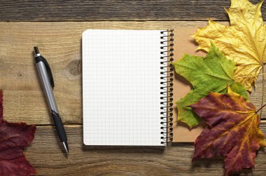 bir kalem ile not etmek