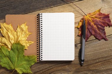 bir kalem ile not etmek