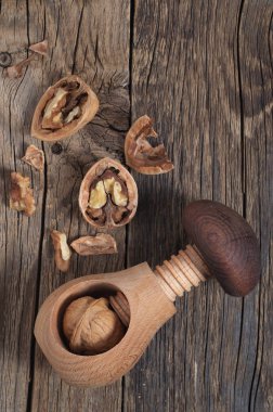 Cevizli fındıkkıran