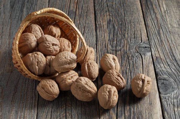 Walnuts scattered from the basket — Stockfoto