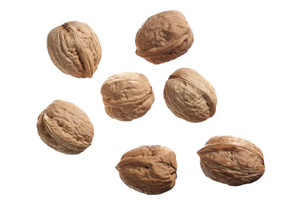 Nueces en cáscara — Foto de Stock