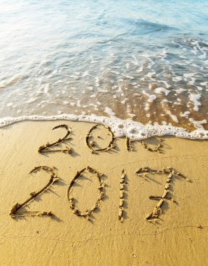 Yeni yıl 2017