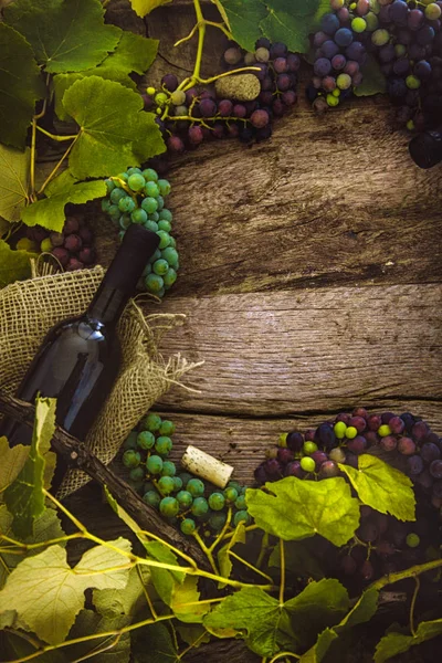 Botellas de vino sobre madera — Foto de Stock