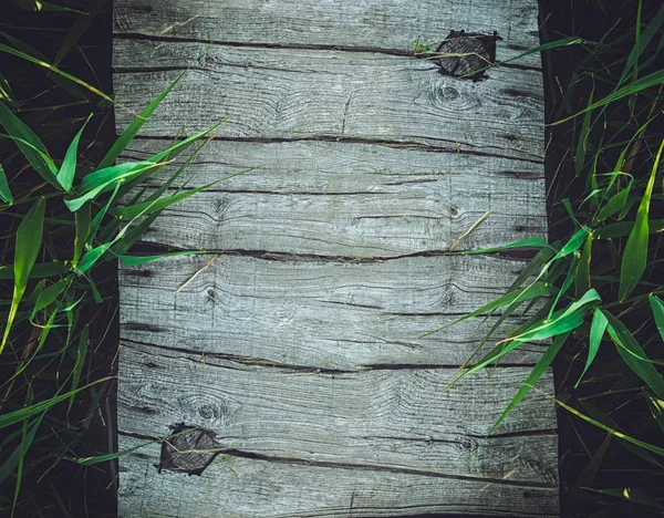 Trä bakgrund med bambu — Stockfoto