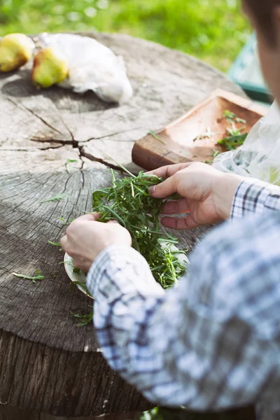 Ensalada de cohetes en manos de agricultores — Foto de Stock