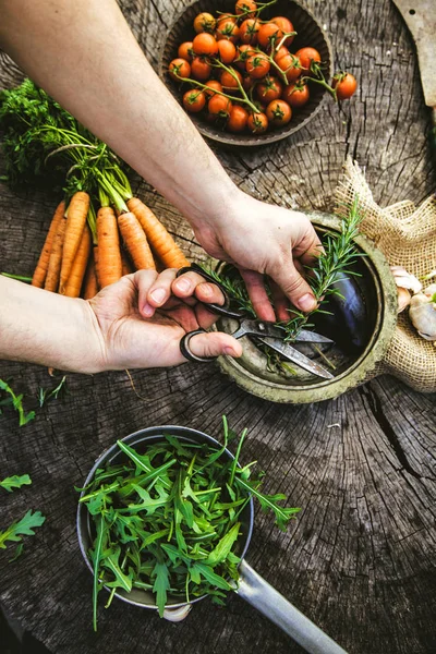 Grönsaker på trä — Stockfoto