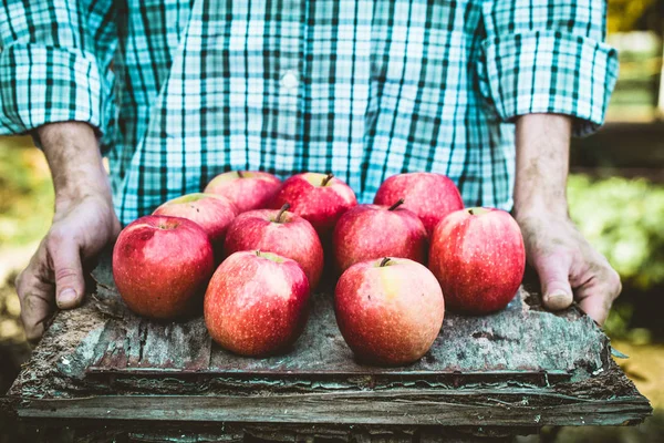 Bauer mit Äpfeln — Stockfoto