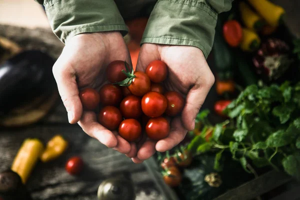 Produtos hortícolas orgânicos sobre madeira — Fotografia de Stock