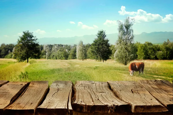 Wooden table with spring background — Stock Photo, Image