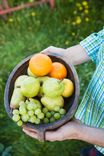 Fruta fresca nas mãos — Fotografia de Stock