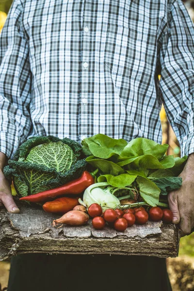 Agricultor con alimentos ecológicos — Foto de Stock