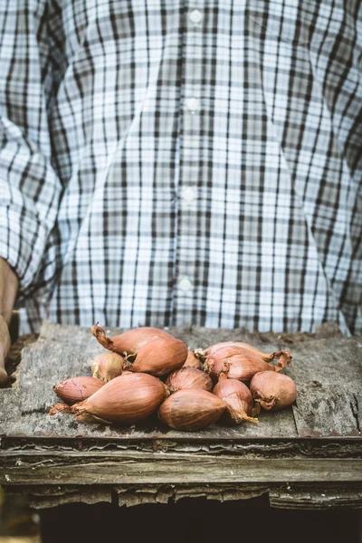Rolnik z cebulą — Zdjęcie stockowe