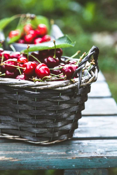 Fresh forest fruit on wood — Stock Image Fresh forest fruit on wood Royalty Free Stock Photos