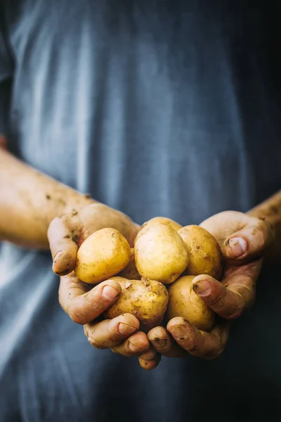 Rolnik z ziemniakami — Zdjęcie stockowe