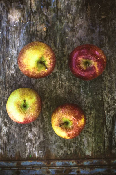 사과 나무에 — 스톡 사진