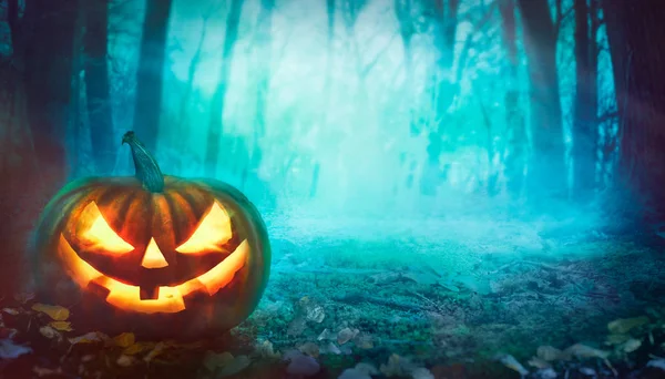 Abóbora de Halloween na floresta — Fotografia de Stock