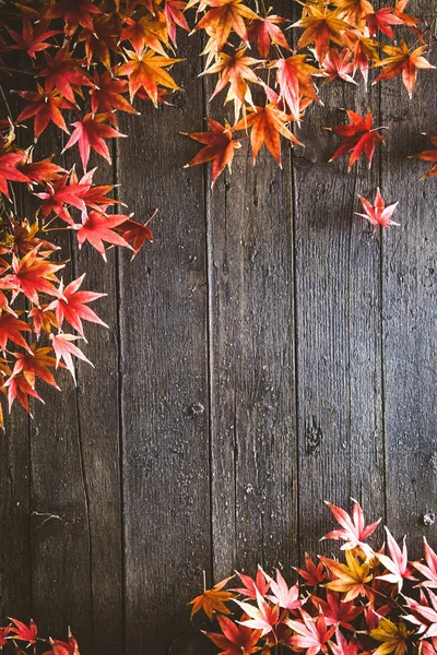 Folhas de outono em madeira — Fotografia de Stock