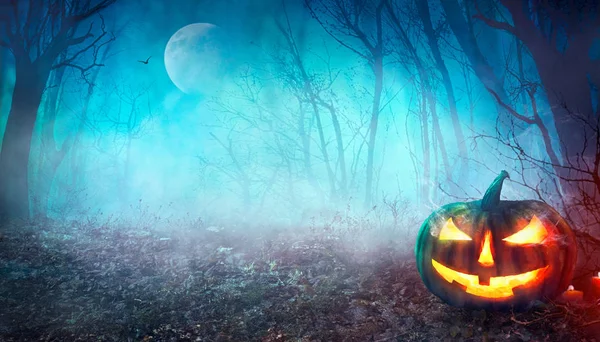 Halloween spettrale foresta — Foto Stock