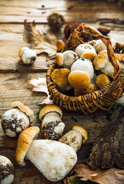 Champiñones sobre madera —  Fotos de Stock