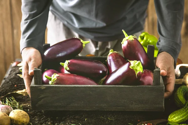 Bonde med aubergine — Stockfoto