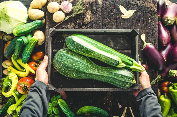 Farmer with zucchini — Stock Photo, Image