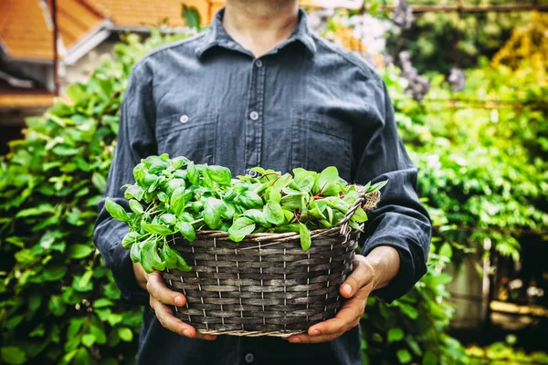 Agricultor con plantas —  Fotos de Stock