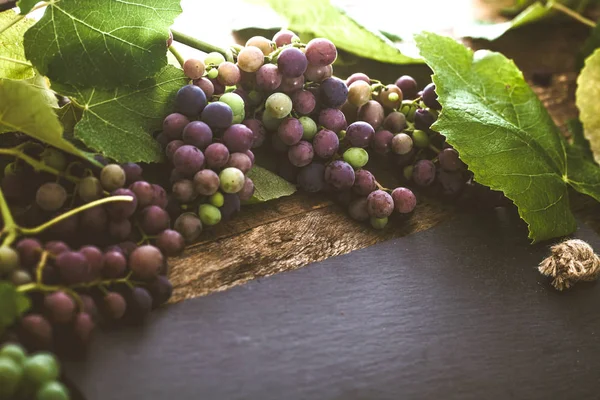 Druiven op hout — Stockfoto