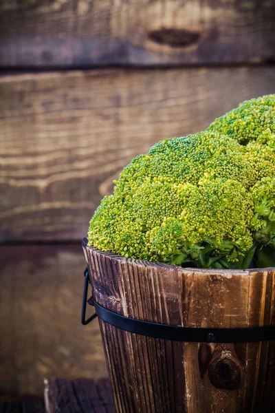 Produtos hortícolas biológicos frescos — Fotografia de Stock