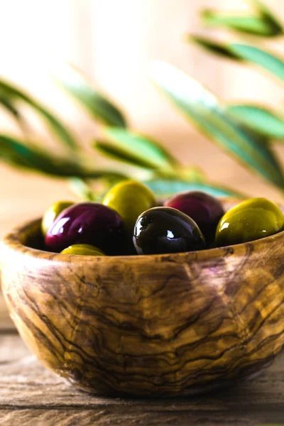 Оливки на ветках — стоковое фото
