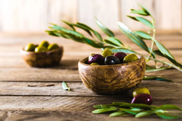 Olivy na větvi — Stock fotografie