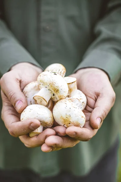 Agriculteur aux champignons — Photo