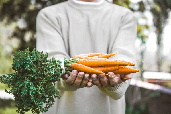 Frmer mit frischen Möhren — Stockfoto