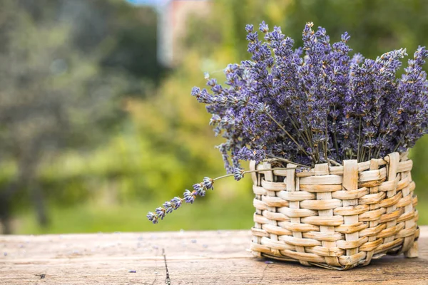 Lavanda em madeira — Fotografia de Stock