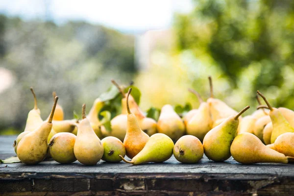 Herfst peren op hout — Stockfoto