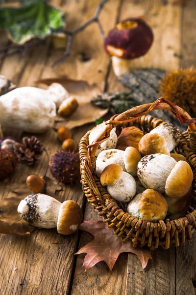 Mushrooms on wood — Stock Photo, Image