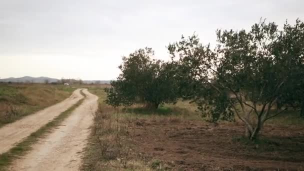 Petite Route Ferme Olive — Video