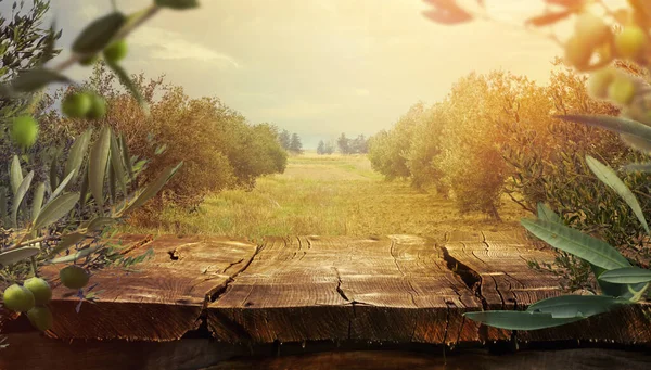 Drewniany Stół Sad Oliwny Stołem — Zdjęcie stockowe
