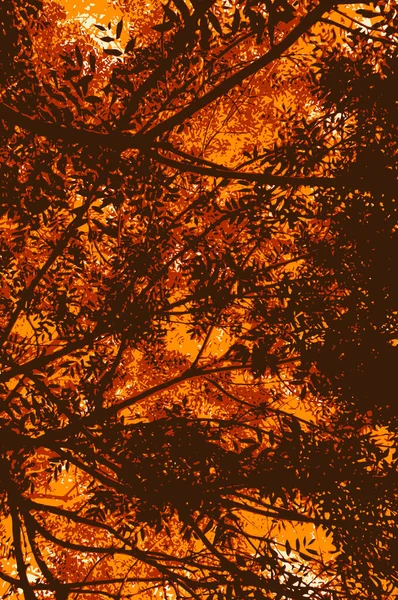 Sous Les Feuilles Rousses Orange Brunes Illustration Vectorielle Paysage Nocturne — Image vectorielle