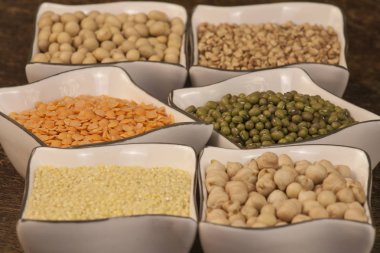 Sağlıklı tohum: mung fasulye, kırmızı mercimek, darı, buğday, soya fasulyesi, nohut