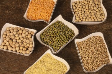 Sağlıklı tohum: mung fasulye, kırmızı mercimek, darı, buğday, soya fasulyesi, nohut