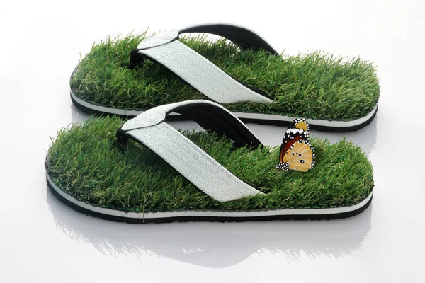 Slipper with Green Grass and butterfly on White Background — Stock Photo, Image