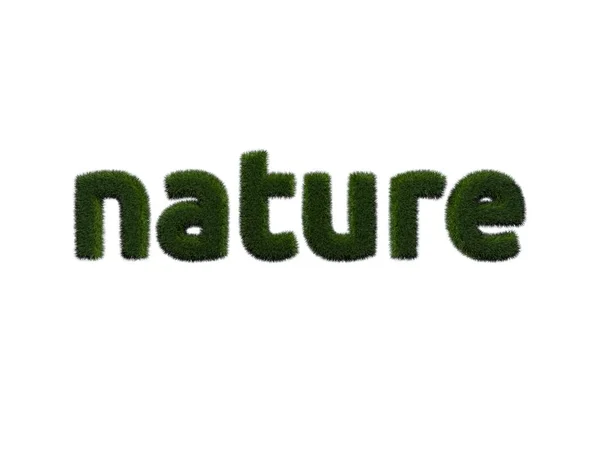 Natur. Grasbeschriftung auf weißem Hintergrund. isolierte digitale Illustration. 3D-Darstellung — Stockfoto