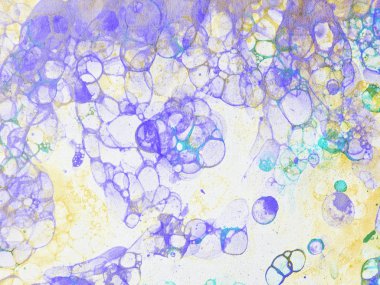 kabarcıklar suluboya mor sarı