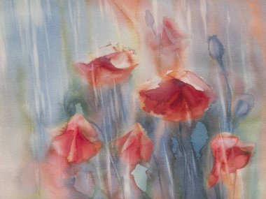 haşhaş yağmurlu bir gün