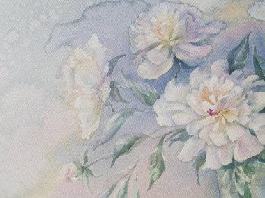 Beyaz peonies suluboya