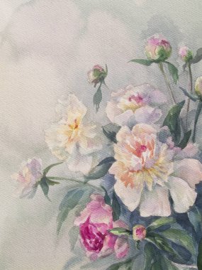 Beyaz pembe peonies küme suluboya